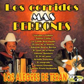 Download track Arnulfo Gonzalez Los Alegres De Teran