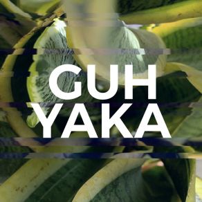 Download track Yaka GUH