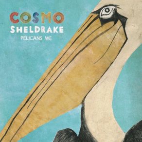 Download track Pelicans We Cosmo Sheldrake