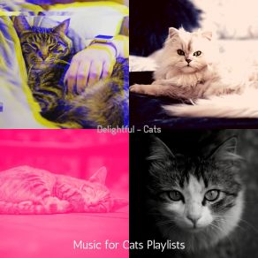 Download track Cats - Dreams Music For Cats Playlists