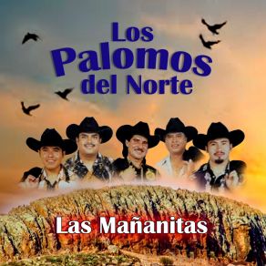 Download track Cumpleaños Los Palomos Del Norte