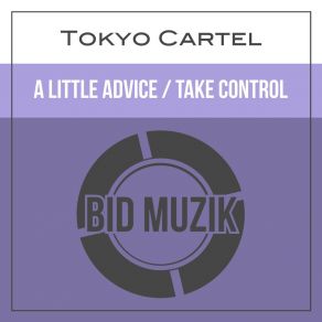 Download track Take Control (Original Mix) Tokyo Cartel