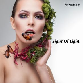 Download track Signs Of Light Nubera Soly