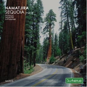 Download track Sequoia (Li-Polymer Remix) Namatjira