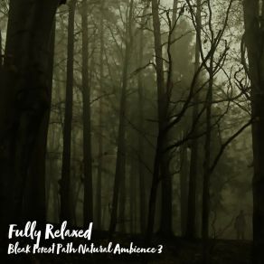 Download track Bleak Forest Path Natural Ambience, Pt. 3 Steve Brassel