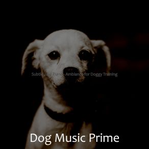 Download track Bright Music For Cute Dogs Dog Music Prime