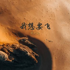 Download track 我想要飞 谭少纯