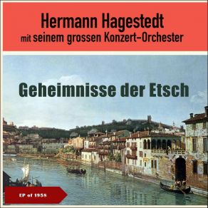 Download track Erinnerungen An Ein Ballerlebnis Hermann Hagestedt Mit Seinem Großen Konzert-Orchester