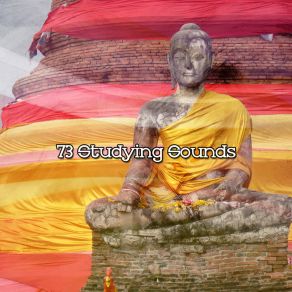 Download track Stillness Lullabies For Deep Meditation