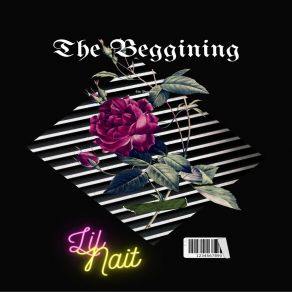 Download track The Beggining Lil Nait