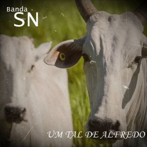 Download track Um Tal De Alfredo Banda Sn