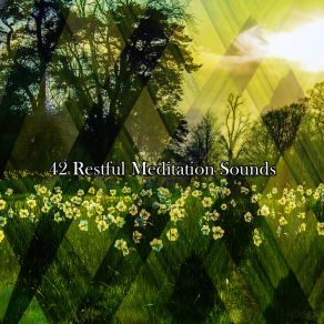 Download track Restoration Relaxing Mindfulness Meditation Relaxation Maestro