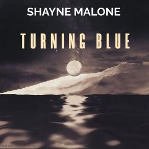 Download track Grassroots Shayne Malone