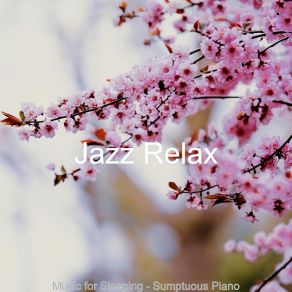 Download track Opulent Mood For Working From Home Jazz Relax