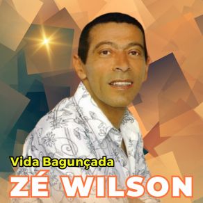 Download track Não Tem Culpa Eu Zé Wilson