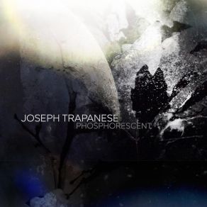 Download track Quantum Joseph Trapenese