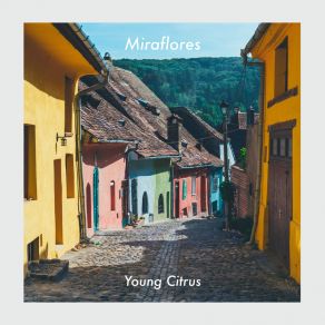 Download track Te Amo Young Citrus