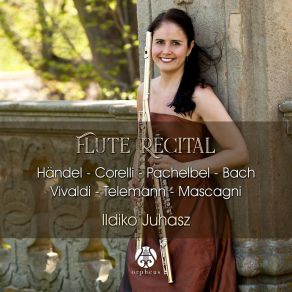 Download track Water Music Hwv348 IX. Hornpipe Ildiko Juhasz