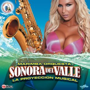 Download track El Verdadero Amor Perdona Marimba Orquesta Sonora Del Valle