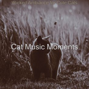 Download track Modern Solo Piano Jazz - Vibe For Cute Cats Cat Music Moments