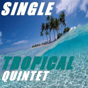 Download track Longtemps Tropical Quintet