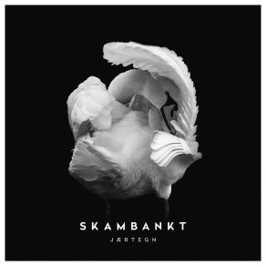 Download track Anonyme Hatere (Jærtegn Version) Skambankt