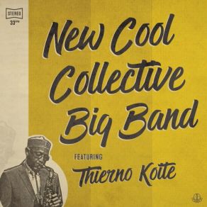 Download track Moussa Caravelle New Cool Collective, Thierno Koité