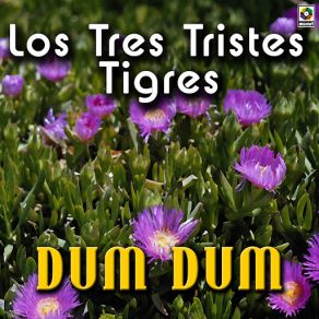 Download track Solo Tu Los Tres Tristes Tigres