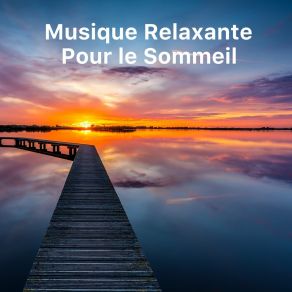 Download track Maîtriser Ses Pensées Aide À Dormir Relaxation Sommeil