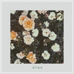 Download track 都市赞美诗 迷幻森林