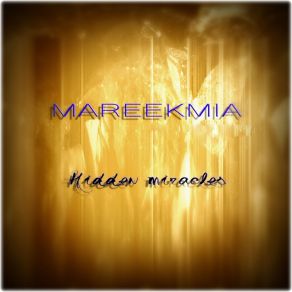 Download track Hidden Miracles (Original Mix) Mareekmia