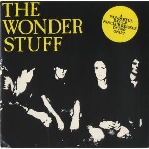 Download track Who Wants To Be The Disco King? The Wonder Stuff