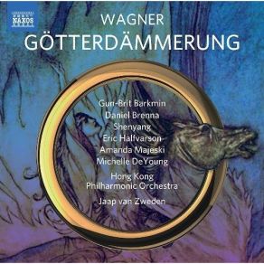 Download track 12. Act I - Scene 3 - Jetzt Bist Du Mein Siegfried Brünnhilde Richard Wagner