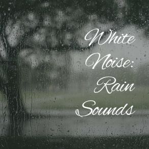 Download track Rain For Transcendental Meditation, Pt. 12 Baby Sleep Rain