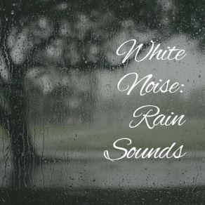 Download track Rain Reborn Baby Sleep Rain