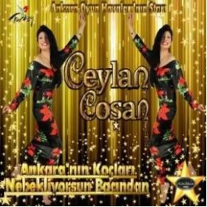 Download track Uşağım Ceylan Coşan