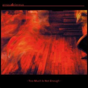 Download track Too Much Is Not Enough Arnaud Delereux