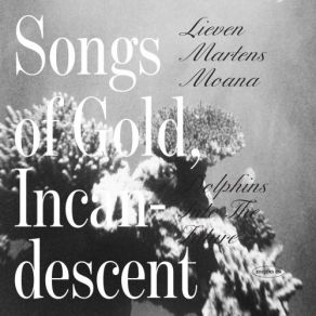 Download track A Subtle Landscape Lieven Martens Moana, Dolphins Into The Future