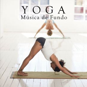 Download track Descansar E Dormir Meditação Música Ambiente