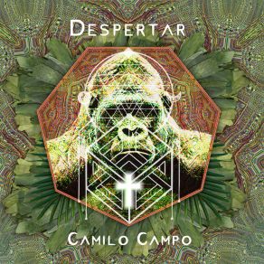 Download track Todo Es Perfecto Camilo Campo