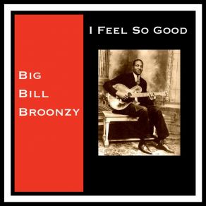 Download track Worrying You Off My Mind Big Bill Broonzy