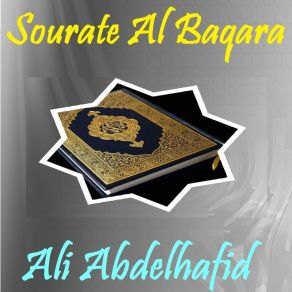 Download track Sourate Al Baqara, Pt. 4 (Hafs Muratal) Ali Abdelhafid