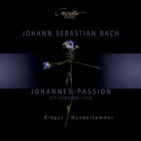 Download track Johannespassion, BWV 245: 