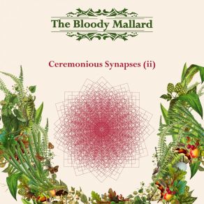 Download track Subject To Entropy The Bloody Mallard