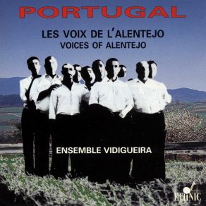 Download track A Passarada Ensemble Vidigueira