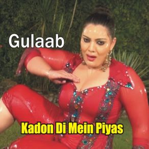 Download track Mazay Dayee Ja Mazay Layee Ja Gulaab