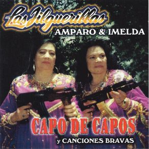 Download track El Bravero Las Jilguerillas