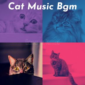 Download track Spectacular Backdrops For Cats Cat Music Bgm