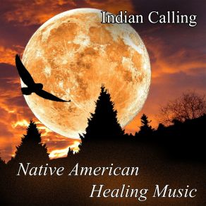 Download track Medicine Man's Song Indian CallingUqualla