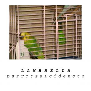 Download track Lost In My Memory LAMBRELLA